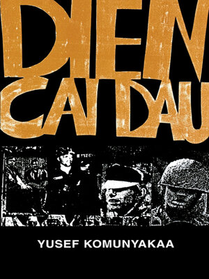 cover image of Dien Cai Dau